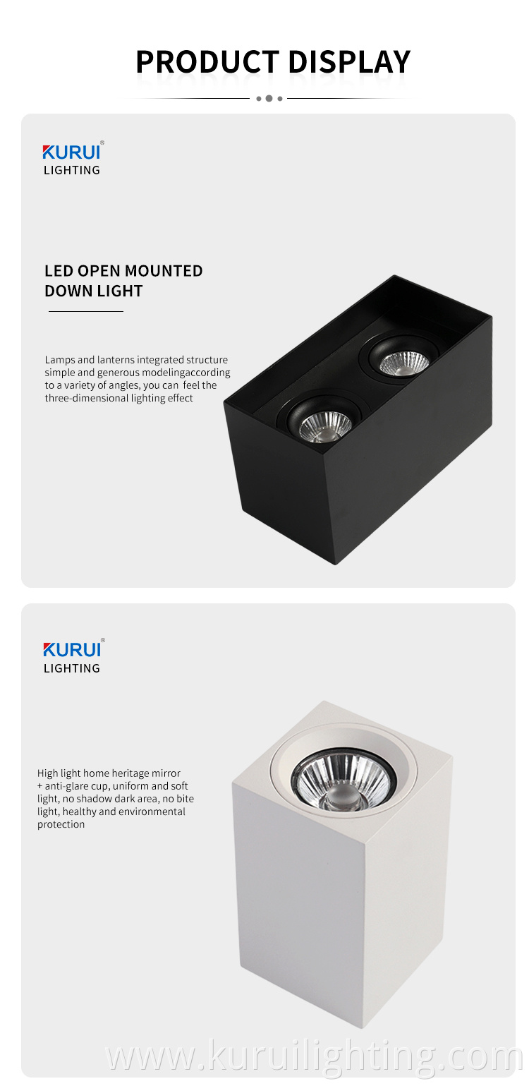 Commercial Ceiling Downlight Details